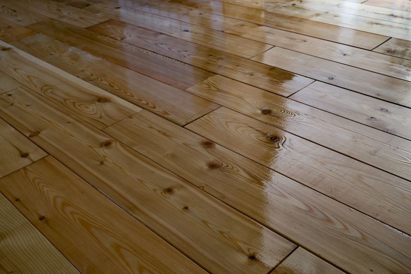 Oak Floor Painting